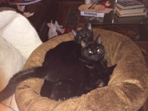 1607077_792307622294_1929556303_n