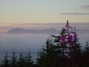 190204_509022428094_7122_n