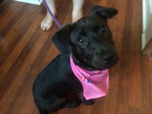 1959393_866524511054_87074303836871244_n