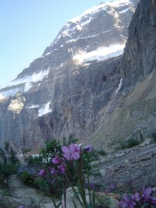 198046_509022507934_5674_n