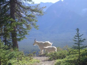 198122_509022502944_5572_n